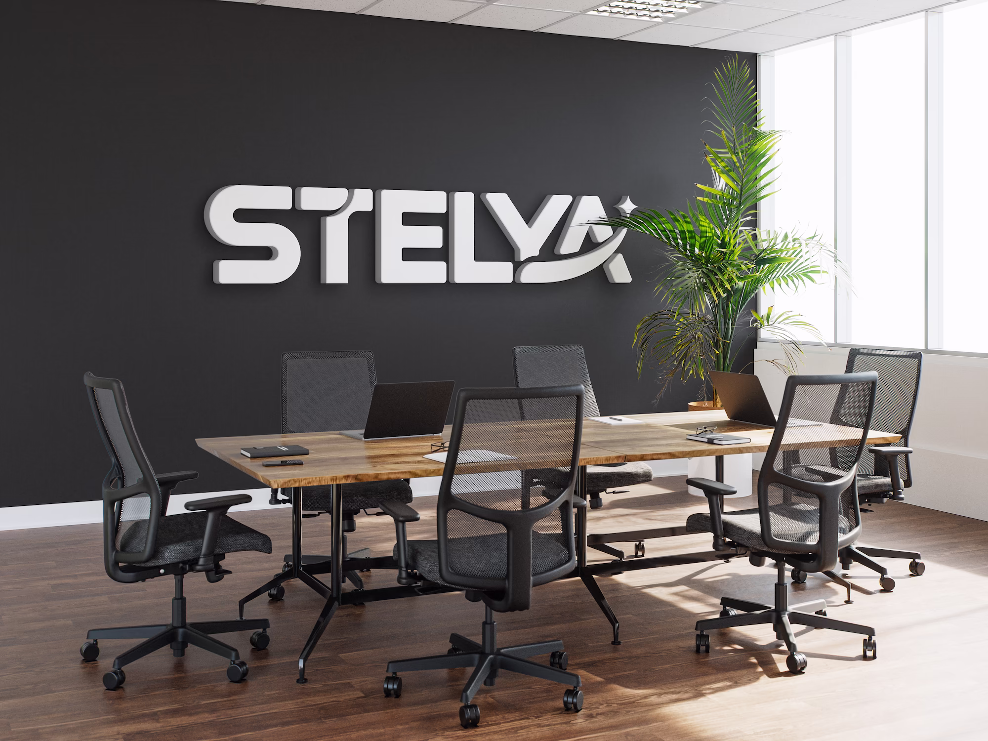 Stelya logo in context, office signage