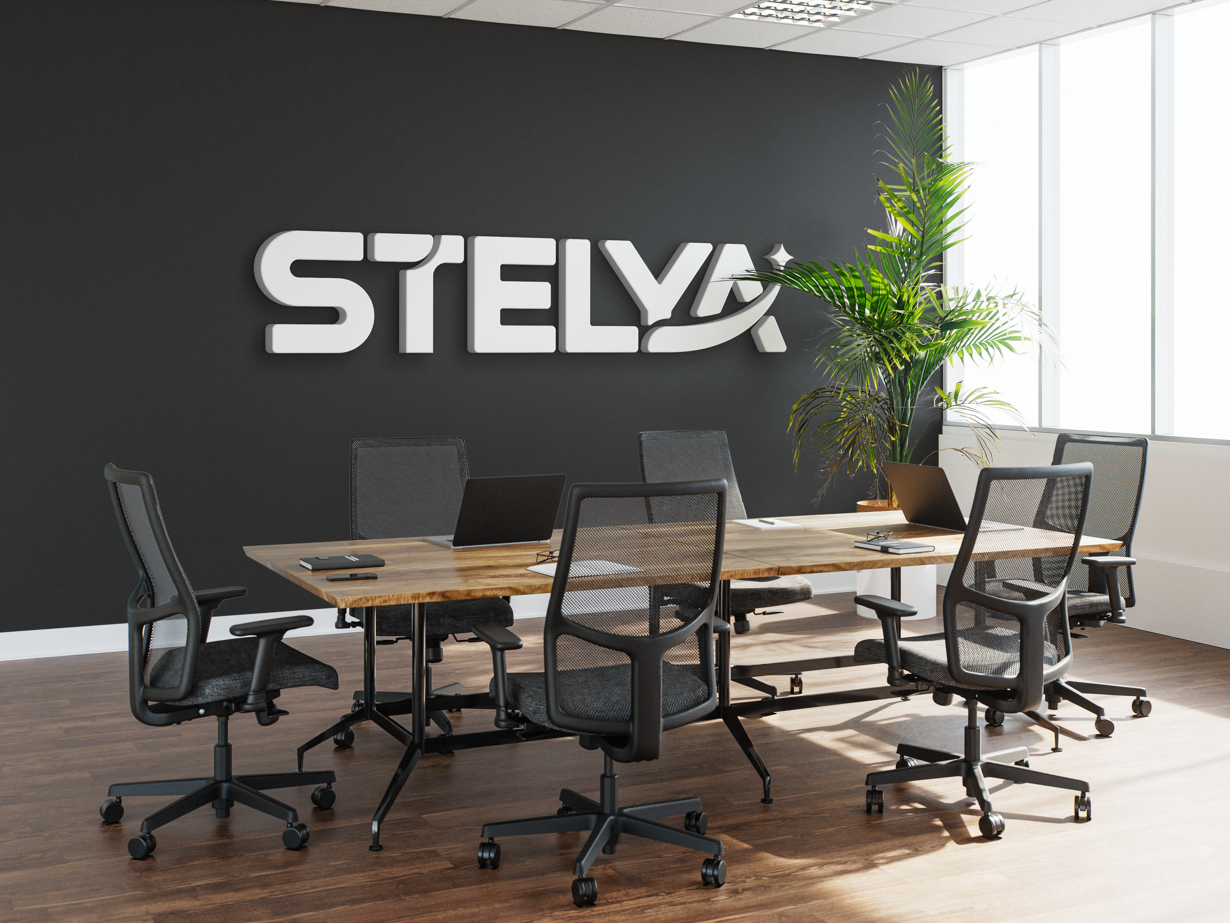 Logo Stelya en situation, signalétique bureau