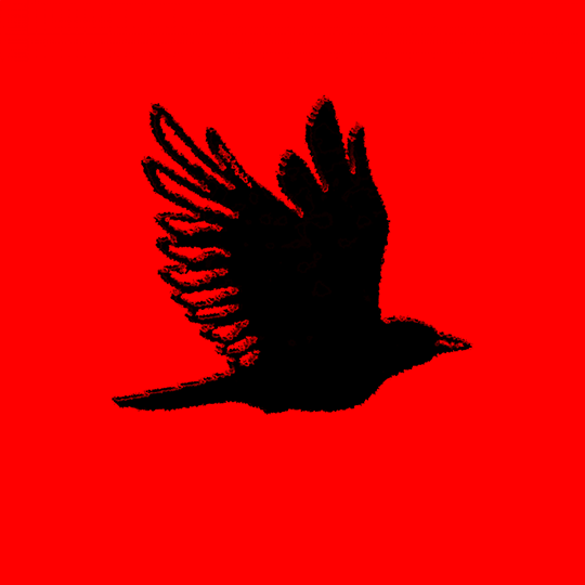 Animation Stop-Motion